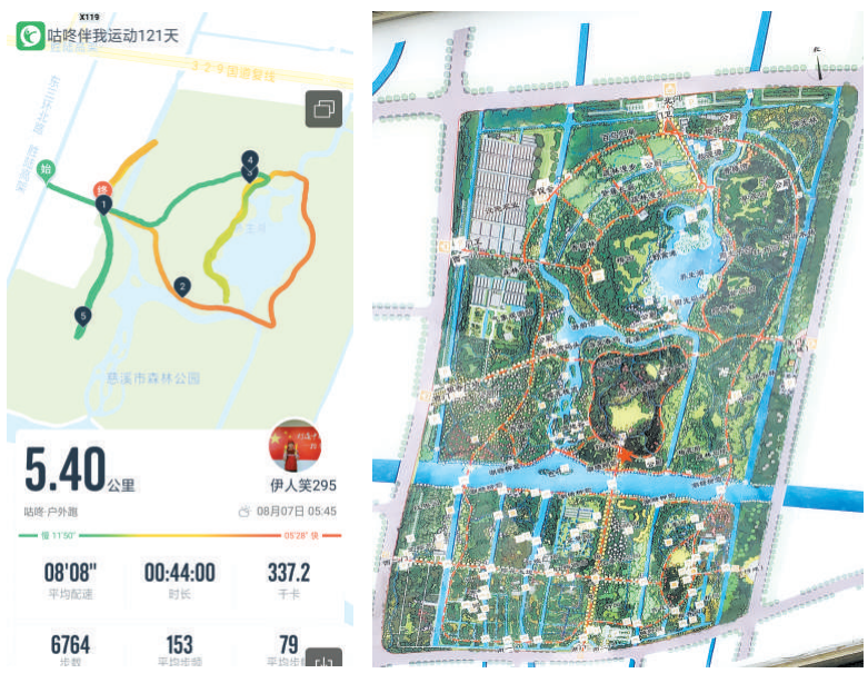 桥城兴起玫瑰跑 森林公园成网红打卡地-慈溪新闻网